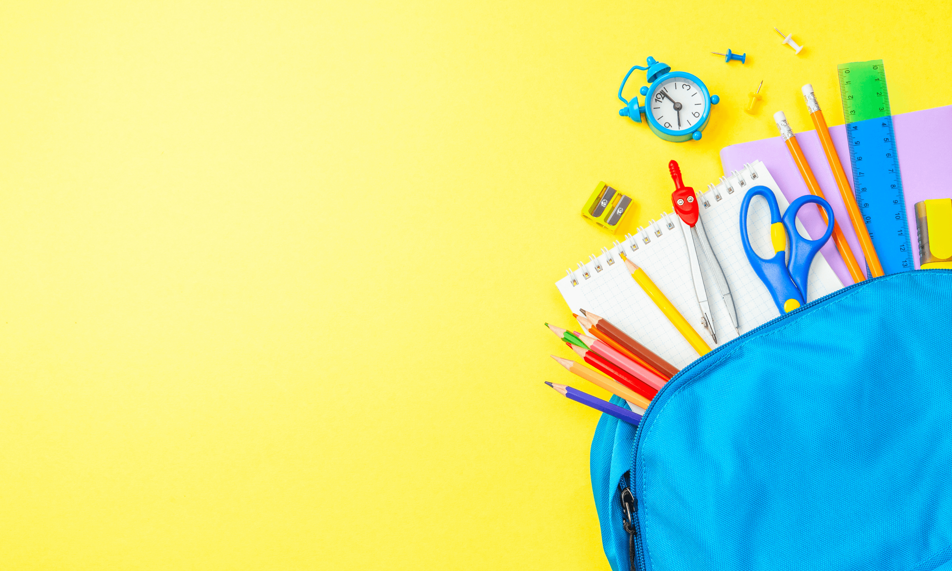 Auggie's Back to School Essentials