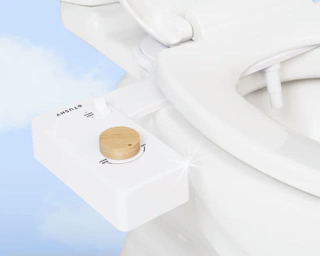 Tushy Bidet