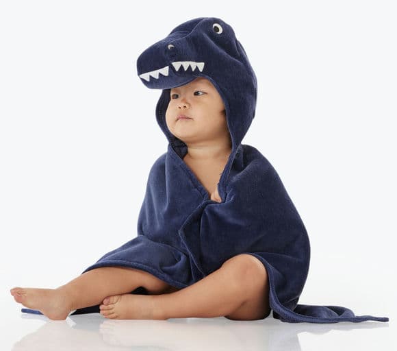 Pottery Barn T-Rex Hooded Towel