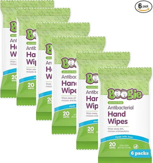 Hand Sanitizer Wipes by Boogie Wipes
