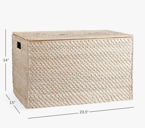 Quinn Storage Trunk