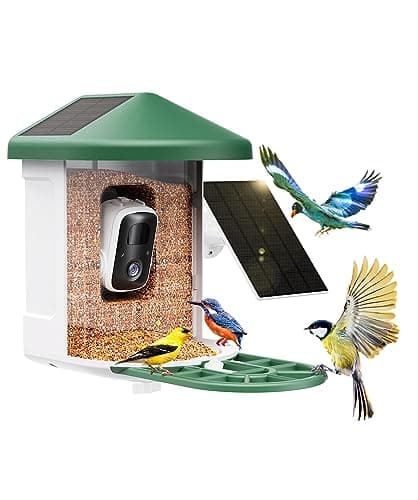 Bird Feeder with Camera