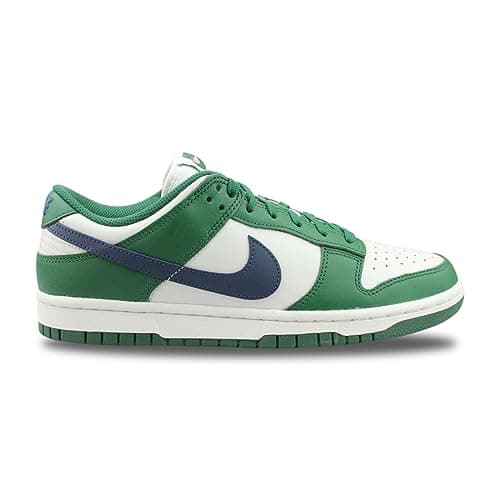 Nike Dunks (Women's)
