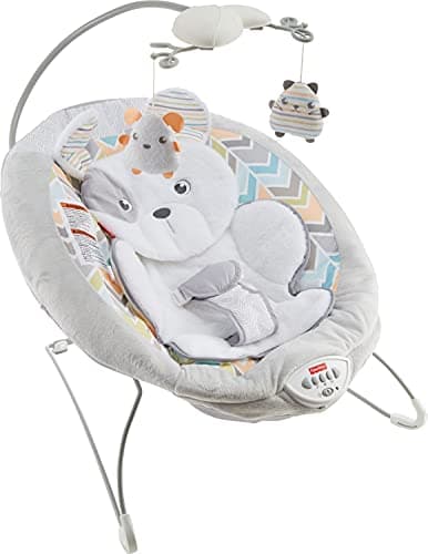 Sweet Snugapuppy Deluxe Bouncer