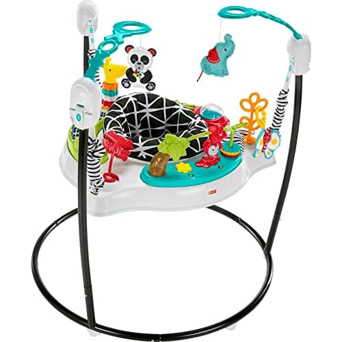 Fisher-Price Baby Bouncer Jumperoo Activity Center