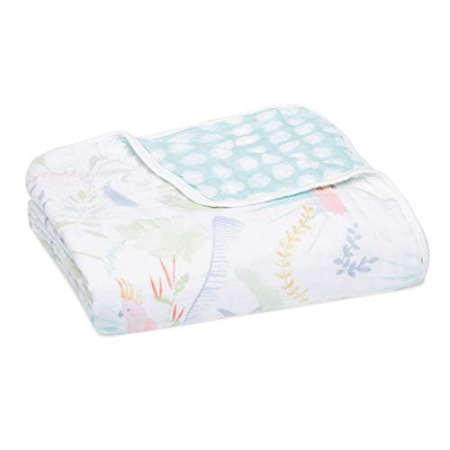 aden + anais Dream Blanket