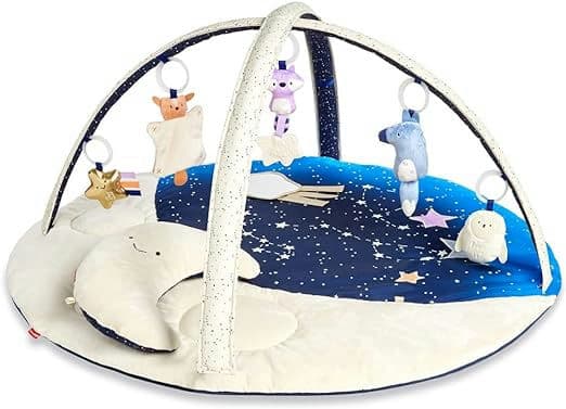 Skip Hop Baby Play Gym