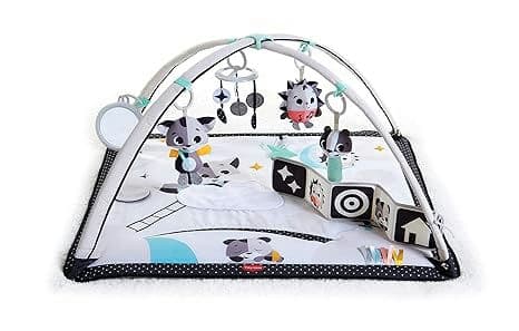 Tiny Love Black & White Gymini Infant Activity Play Mat