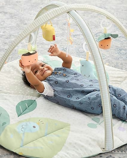 Skip Hop Baby Play Gym, Garden Oasis