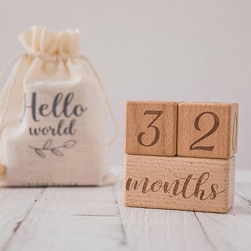 Baby Month Blocks Wooden Baby Milestone Age Blocks