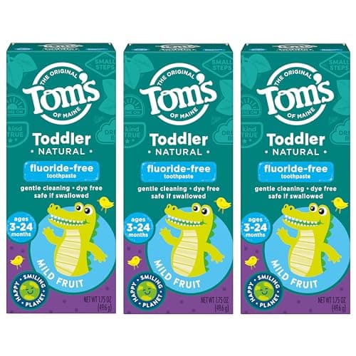 Tom's of Maine Fluoride-Free Toddler Training Toothpaste, Mild Fruit